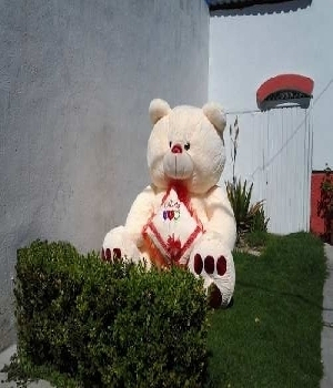 Imagen de Oso de peluche Gigante Jumbo cojín 2.3 mts  numero 0
