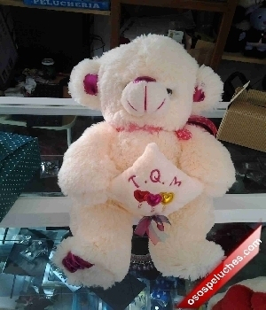Imagen de Oso de peluche TQM mediano numero 0