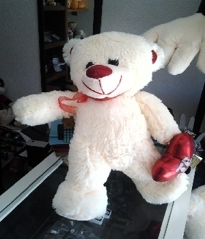 Imagen de Oso rafis de peluche mediano