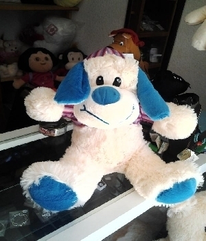 Imagen de Perro con sudadera azul numero 0