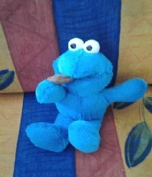 Imagen de Monstruo come galletas pequeño numero 0