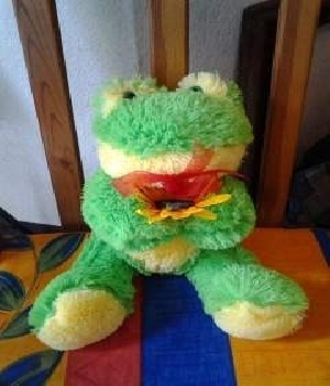 Imagen de Rana de peluche girasol numero 0
