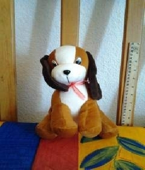 Imagen de Perrita pequeña numero 0