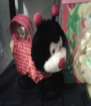 Imagen de Bolsa de peluche catarina numero 0