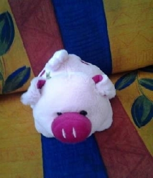 Imagen de Puerquito de peluche numero 0