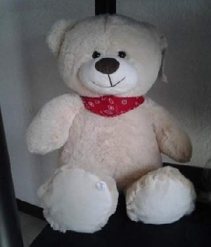 Imagen de Oso con paleacate numero 0