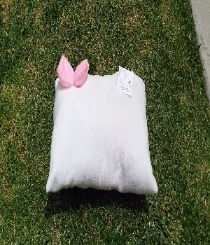 Imagen de Almohada cojin para bebe 30x20 cms numero 0