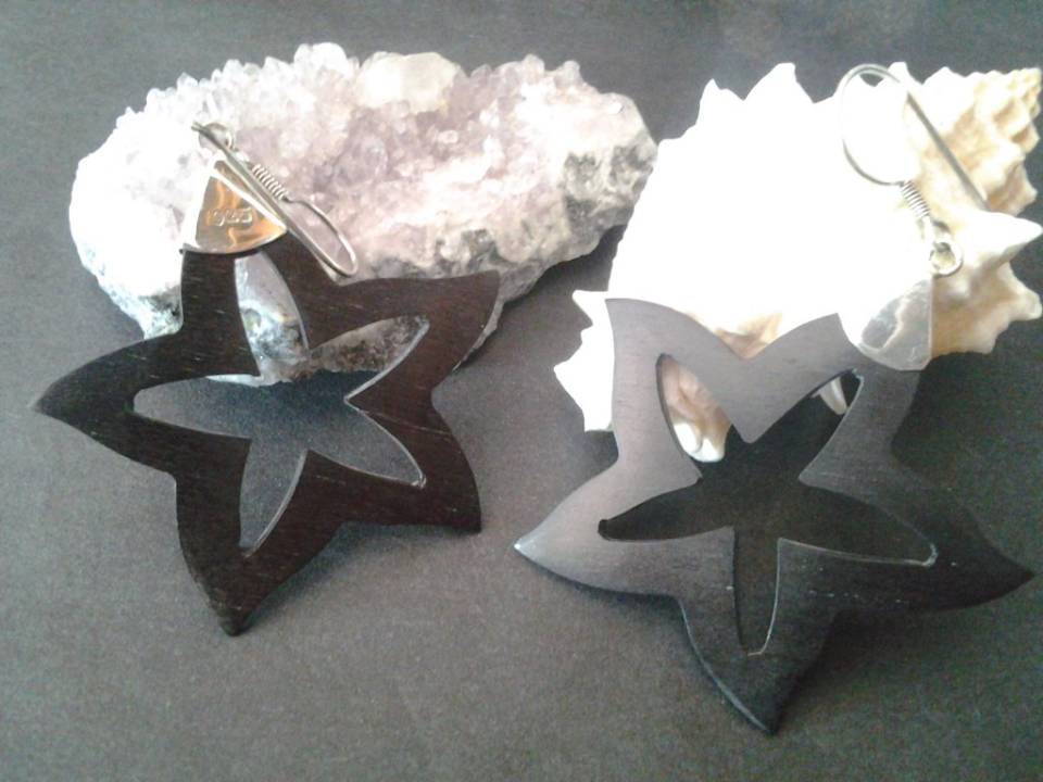 Imagen de Aretes de plata largos 925 y madera estrella numero 1