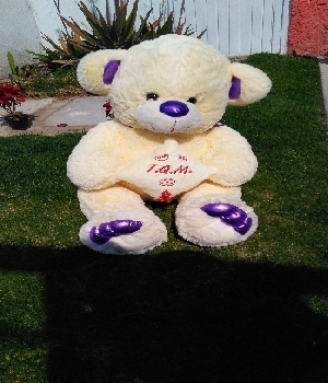 Imagen de Bailarina de peluche con cojín morada