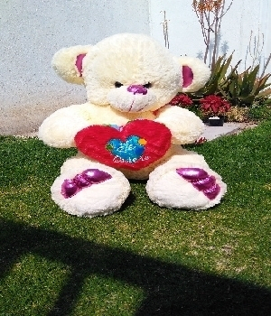 Imagen de Bailarina de peluche con corazón numero 0