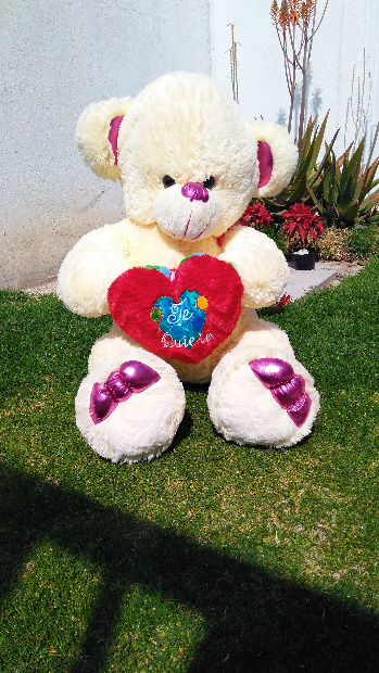 Imagen de Bailarina de peluche con corazón numero 1