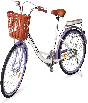 Imagen de Bicicleta Urbana Vintage Retro Con Canastita