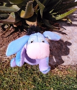 Imagen de Burro de peluche economico numero 0