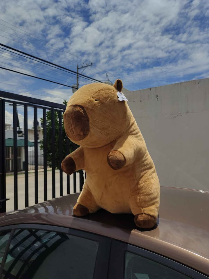 Imagen de Capibara de peluche grande de 75 cm color café numero 1