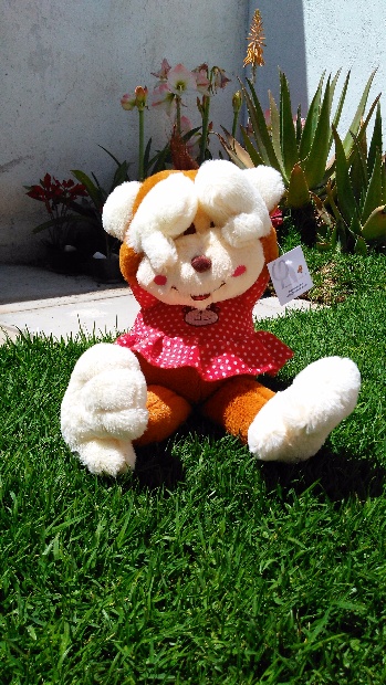 Imagen de Changa cuca de peluche de 45 cms numero 2