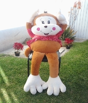 Imagen de Changa cuca de peluche gigante 2 numero 0