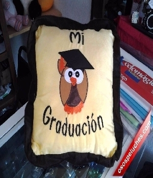 Imagen de Cojin de peluche mi graduación 37 cms numero 0