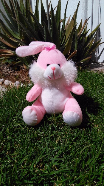 Imagen de Conejita de peluche económica 23 cms sentada numero 1