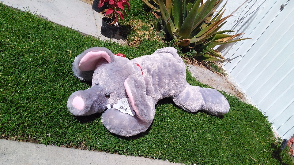 Imagen de Elefante de peluche 75 abrazame (c/u) numero 1