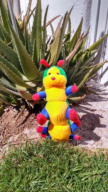 Imagen de Gusano de peluche para eventos 30 cms numero 1
