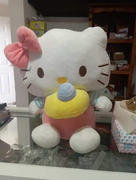 Imagen de Kitty de peluche de 40 cm color rosa con camara numero 2
