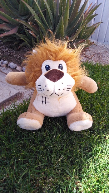 Imagen de Leon de peluche mediano numero 0