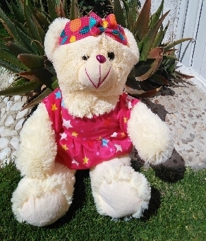 Imagen de Osa de peluche con vestido ama de casa  numero 0