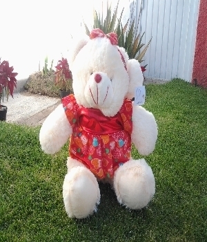Imagen de Osa de peluche con vestido rojo numero 0