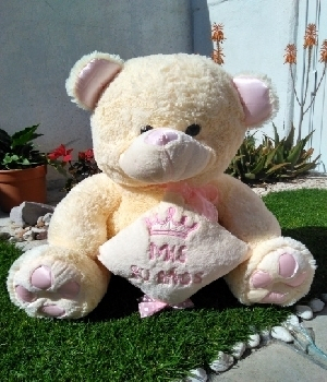 Imagen de Osa de peluche rosa huellas other kind numero 0