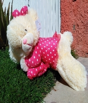 Imagen de Osita dormilona tutu rosa de 50 cms numero 0