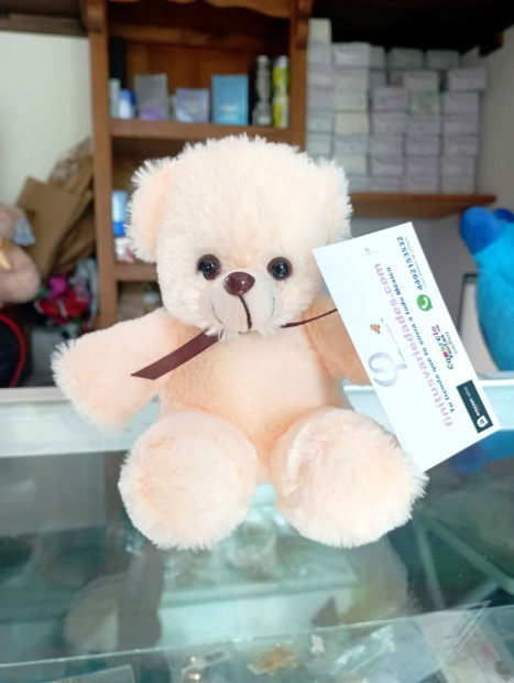 Imagen de Osito de peluche para centro de mesa color hueso 15 cm numero 1