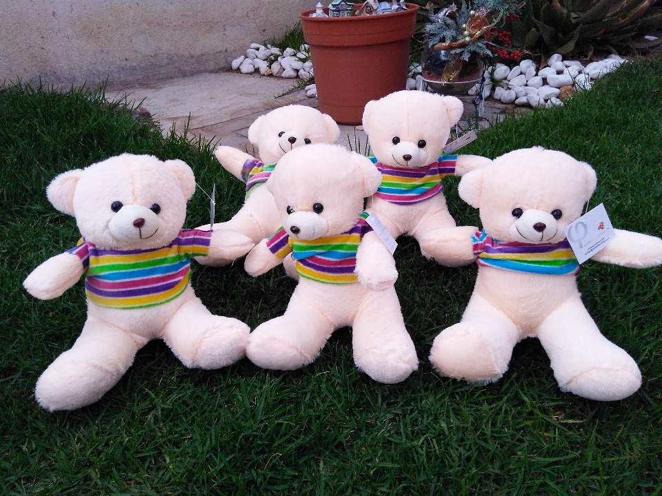 Imagen de Ositos de peluche 22 cms sentados nuevas playeras numero 1