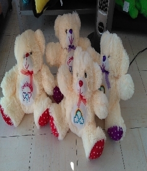 Imagen de Ositos de peluche bordados 30 cms numero 0