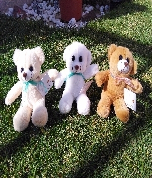 Imagen de Ositos de peluche de 15 cms para eventos numero 0