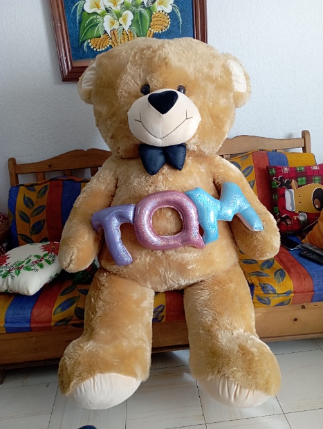 Imagen de Oso TQM de peluche mega gigante 165 cms de altura numero 1