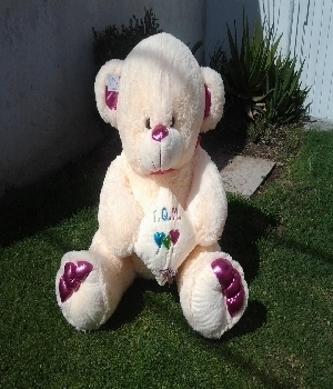 Imagen de Oso TQM de peluche bailarin rosa numero 0