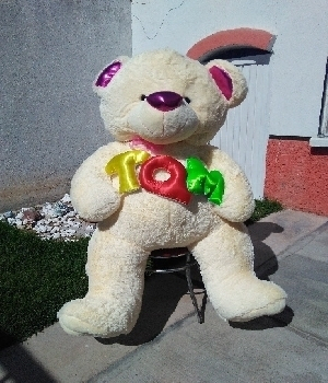 Imagen de Oso TQM gigante beige 1.80m y gordo numero 0
