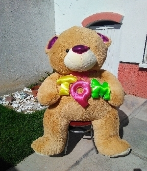 Imagen de Oso TQM gigante café 2m y gordo numero 0