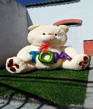 Imagen de Oso TQM mega gigante. numero 0