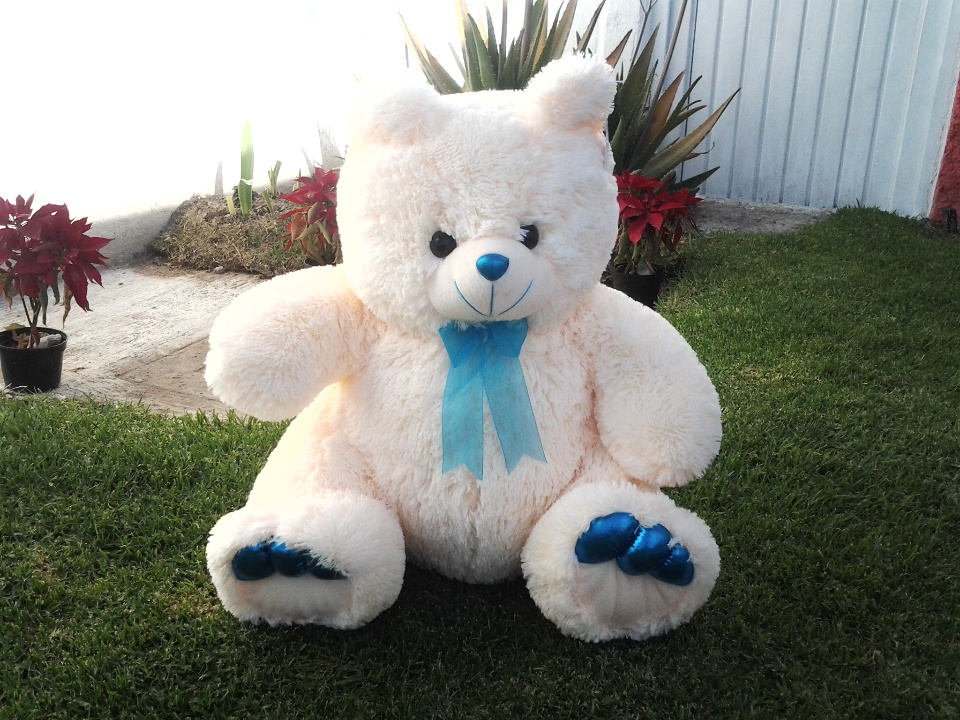 Imagen de Oso brandon de peluche azul segundo numero 1