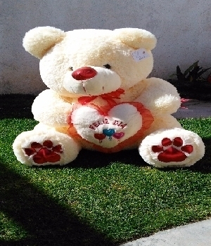 Imagen de Oso concho corazón 75 cm numero 0