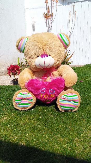 Imagen de Oso concho corazon patas de colores numero 2