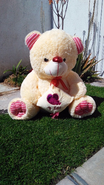 Imagen de Oso concho de peluche rosado  numero 2