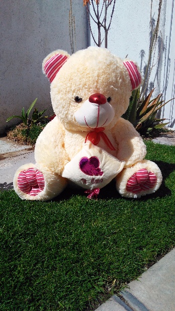 Imagen de Oso concho de peluche rosado  numero 1