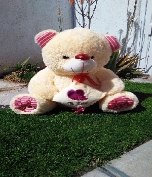 Imagen de Oso concho de peluche rosado  numero 0