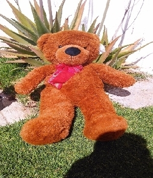Imagen de Oso de peluche 85 abrazame (c/u) numero 0