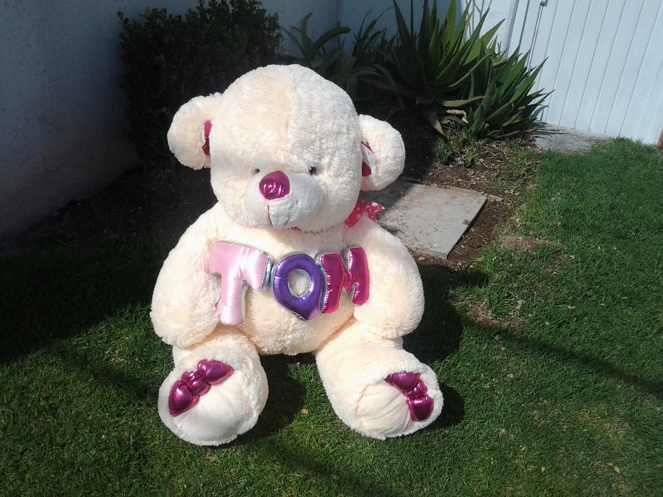 Imagen de Oso de peluche TQM bailarin rosa II numero 1
