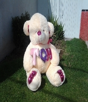 Imagen de Oso de peluche TQM bailarin rosa II numero 0