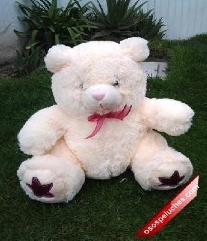 Imagen de Oso de peluche abrazos morado 45X30cms numero 0
