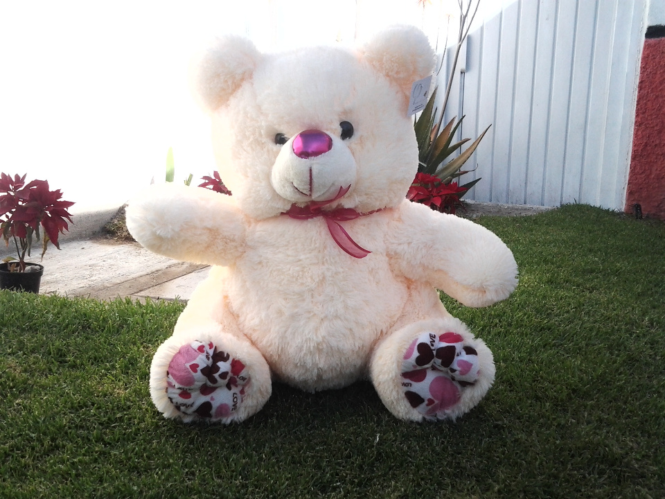 Imagen de Oso de peluche brandon tercero numero 1